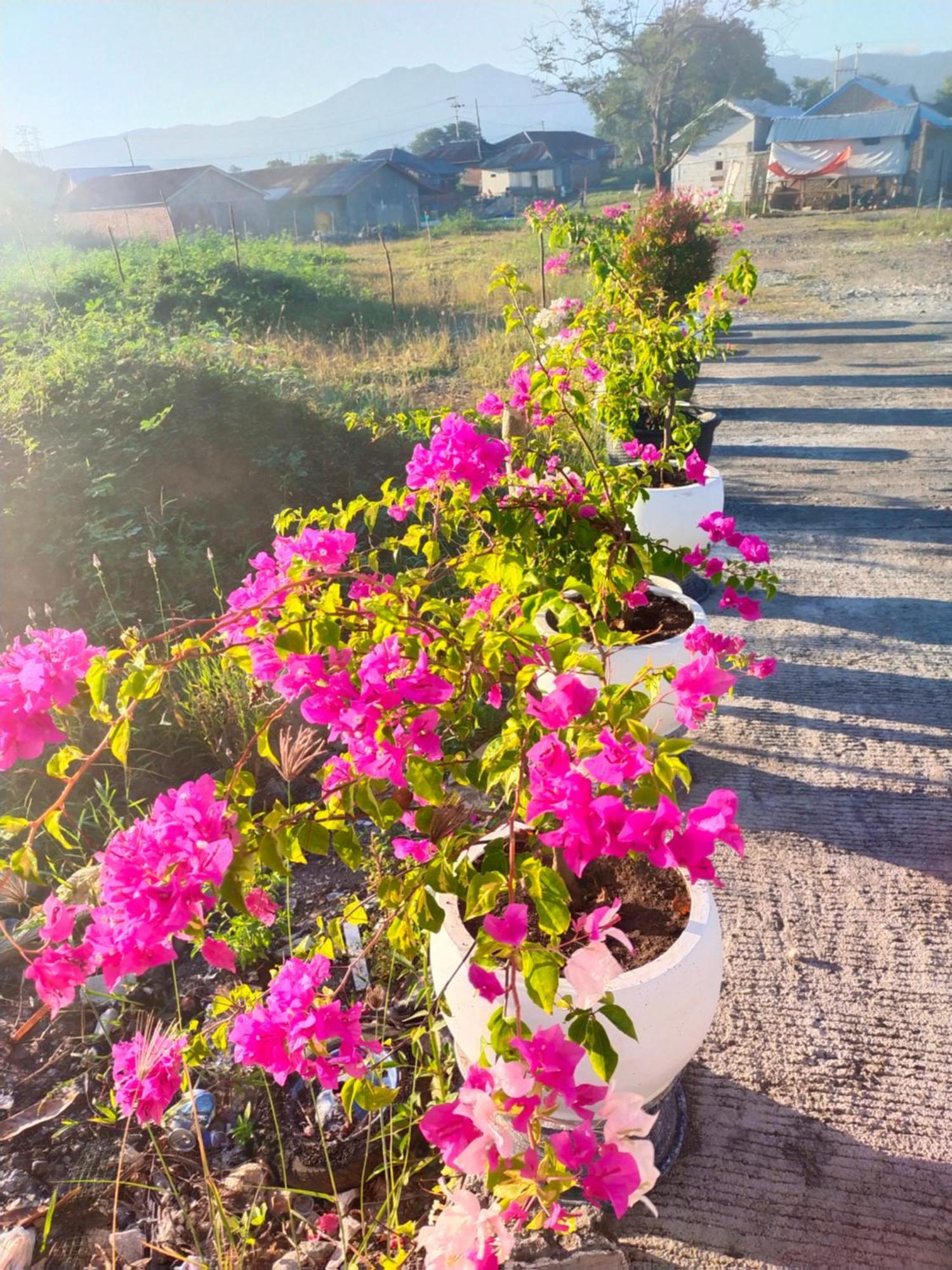 La Geiro Villa Labuan Bajo Εξωτερικό φωτογραφία