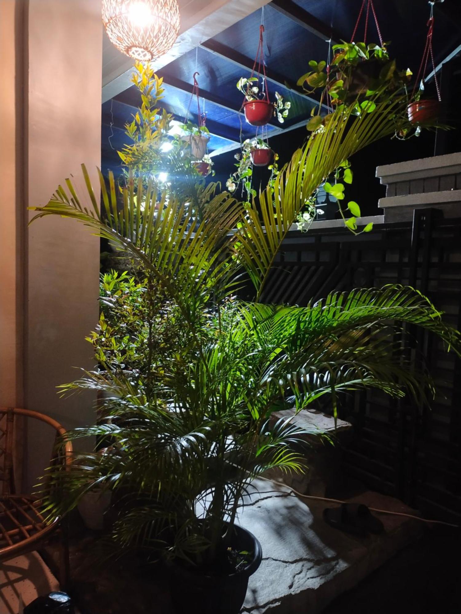 La Geiro Villa Labuan Bajo Εξωτερικό φωτογραφία